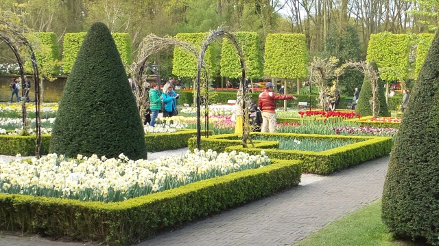 2014-04-17 Holland Tulips 09.jpg